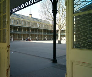 une cour de l'établissement public janson-de-sailly.