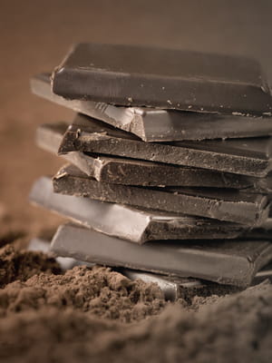 la plupart des cacaoyers sont vieillissants et ne sont pas renouvelés.