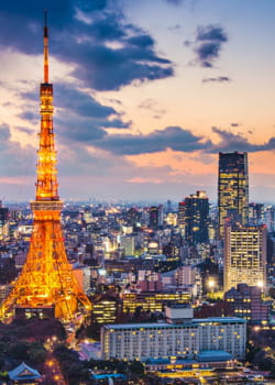 les français ne seront pas dépaysés à tokyo.