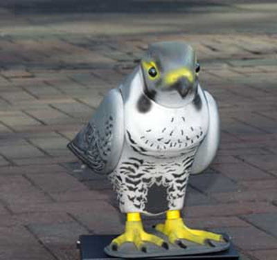 les féroces robops, prédateurs modernes du pigeon.