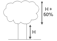 respectez les proportions de l'arbre