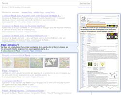 le service de prévisualisation de google
