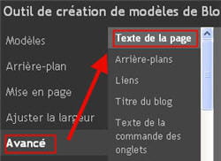copie d'écran des options avancées.