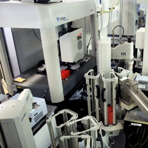 le robot adam est destiné à la découverte de nouveaux médicaments.