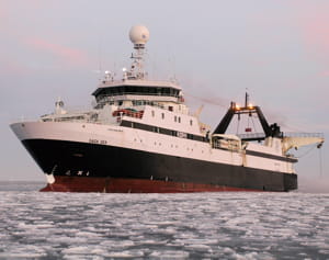 krill pêche