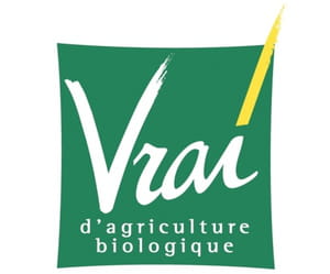 le logo vrai.