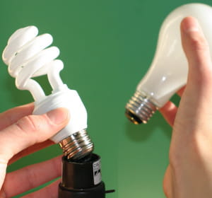 les ampoules fluocompactes ont connu un démarrage poussif mais sont aujourd'hui