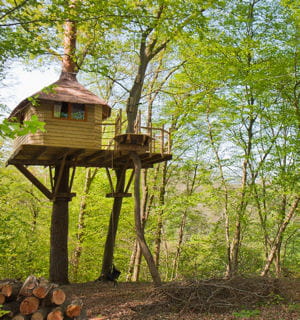 les campings s'arrachent cet habitat insolite.