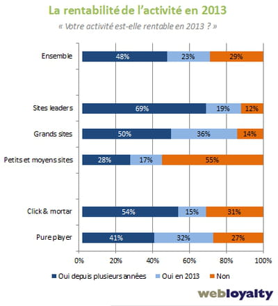rentabilité de l'activité des sites marchands en 2013