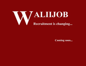 waliiday.com