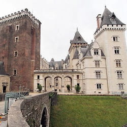 le château de pau.