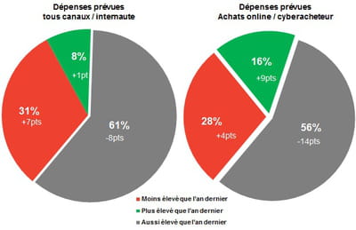 dépenses prévues par internaute tous canaux confondues et dépenses en ligne
