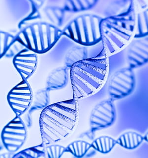 genosplice fait du séquençage adn à haut débit.