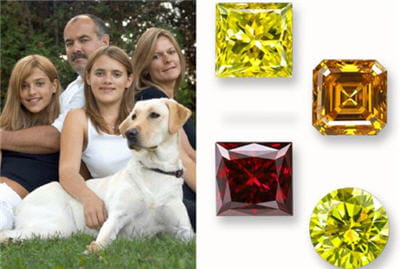 avec ses cendres ou ses poils, on crée un diamant