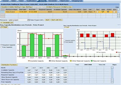 la solution sap cprojects/rpm