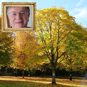 didier lombard ne jure que par ses arbres.