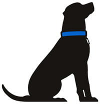 le chien noir devient synonyme de lycos.