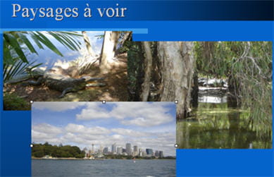 mosaique d'images