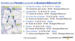 exemple d'encadré mettant en valeur le partenariat entre bing et pagesjaunes