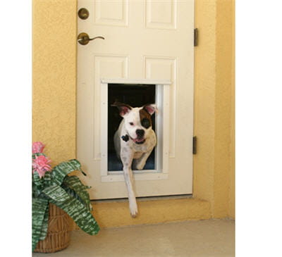 une porte automatique pour son chien : sûre et pratique