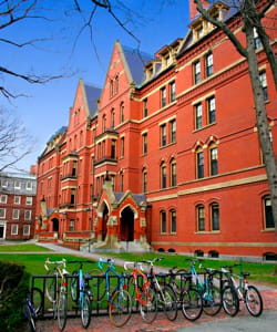 l'université d'harvard