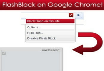flashblock permet de voir une page sans son contenu flash.