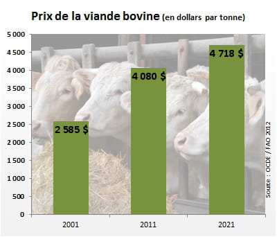le prix de la viande bovine atteindra 4 718 dollars par tonne en 2021