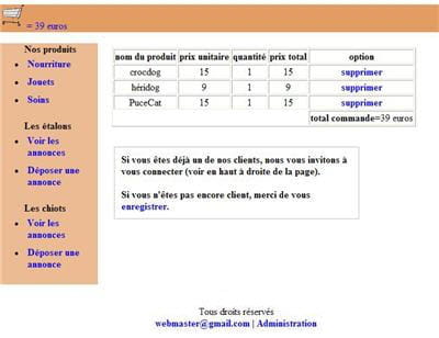 interface du panier electronique