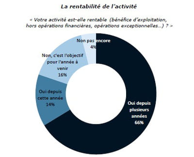 rentabilité de l'activité d'e-commerçant