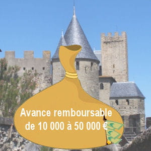 la région languedoc-roussilon met l'accent sur les moyens d'assurer la pérénité