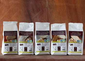 gamme levain bio philibert savours.
