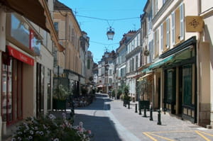 une vue de fontainebleau, en seine-et-marne.