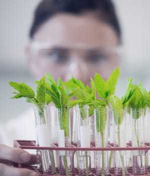 les promoteurs de ces futurs ogm promettent des bénéfices pour la santé,