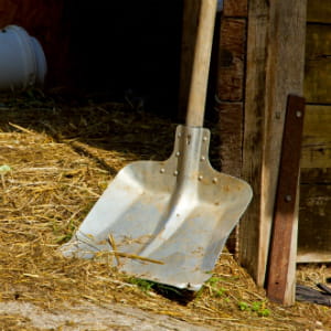 le fumier de cheval serait un excellent combustible.