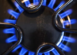 les prix ont grimpé de près de 15% depuis le début de l'année.