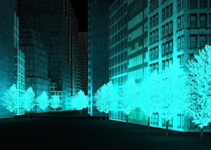 les arbres bioluminescents.
