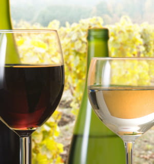 le vin bio fait une percée fulgurante en france.