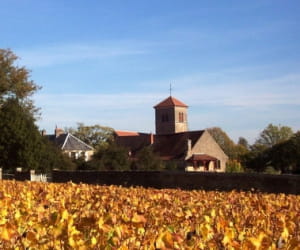 une vue de gevrey, en bourgogne.