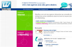 bleuroy.com