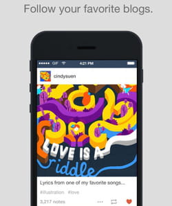 un tas d'options instantanées sur tumblr mobile.