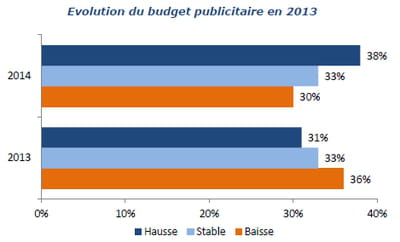 evolution du budget publicitaire en 2013