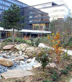 siège d'ibm france près de paris.
