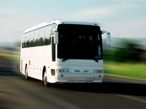 la compagnie eurolines a particulièrement profité de la situation.