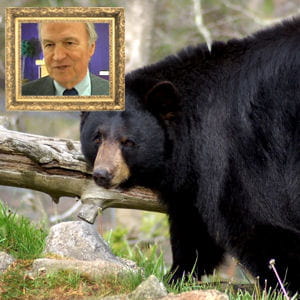 dans les années 90, sa rencontre avec un ours lui a fait une belle frayeur.