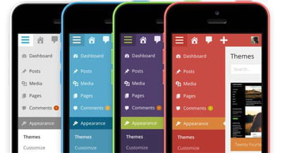 wordpress colors