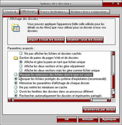 si les extensions des fichiers ne s'affichent pas sous windows, voici la