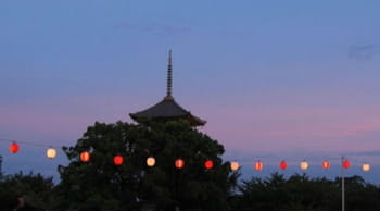 larry ellison est aussi propriétaire d'une villa à kyoto au japon.