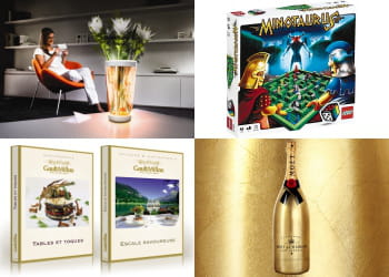 quels cadeaux de noël vont s'arracher en 2010 ?