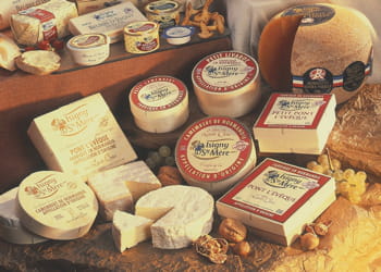 la france a exporté plus de 600.000 tonnes de fromage en 2007.