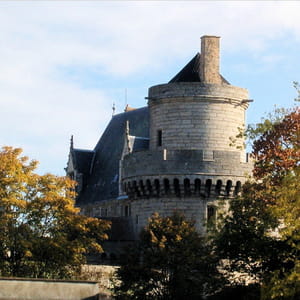 le château des ducs d'alençon.